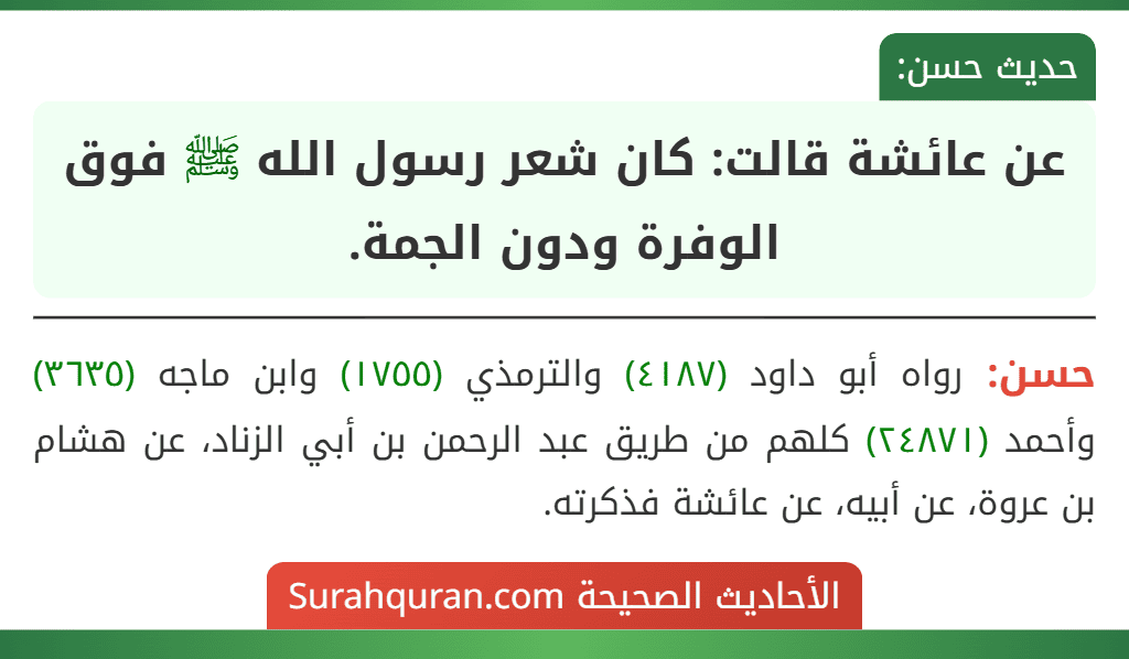 عن عائشة قالت: كان شعر رسول الله ﷺ فوق الوفرة ودون الجمة.