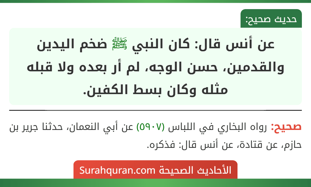 عن أنس قال: كان النبي ﷺ ضخم اليدين والقدمين، حسن الوجه، لم أر بعده ولا قبله مثله وكان بسط الكفين.