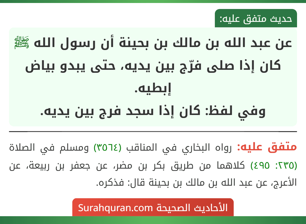 عن عبد الله بن مالك بن بحينة أن رسول الله ﷺ كان إذا صلى فرّج بين يديه، حتى يبدو بياض إبطيه.
وفي لفظ: كان إذا سجد فرج بين يديه. عن عبد الله بن مالك بن بحينة أن رسول الله ﷺ كان إذا صلى فرّج بين يديه، حتى يبدو بياض إبطيه.
وفي لفظ: كان إذا سجد فرج بين يديه.