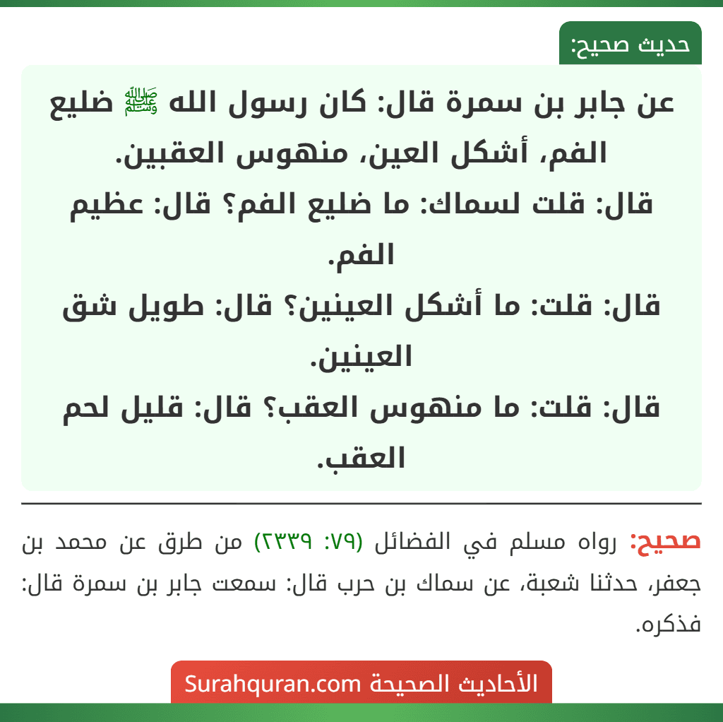 عن جابر بن سمرة قال: كان رسول الله ﷺ ضليع الفم، أشكل العين، منهوس العقبين.
قال: قلت لسماك: ما ضليع الفم؟ قال: عظيم الفم.
قال: قلت: ما أشكل العينين؟ قال: طويل شق العينين.
قال: قلت: ما منهوس العقب؟ قال: قليل لحم العقب.