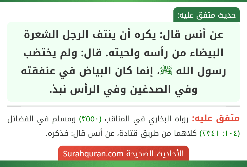 عن أنس قال: يكره أن ينتف الرجل الشعرة البيضاء من رأسه ولحيته. قال: ولم يختضب رسول الله ﷺ، إنما كان البياض في عنفقته وفي الصدغين وفي الرأس نبذ.