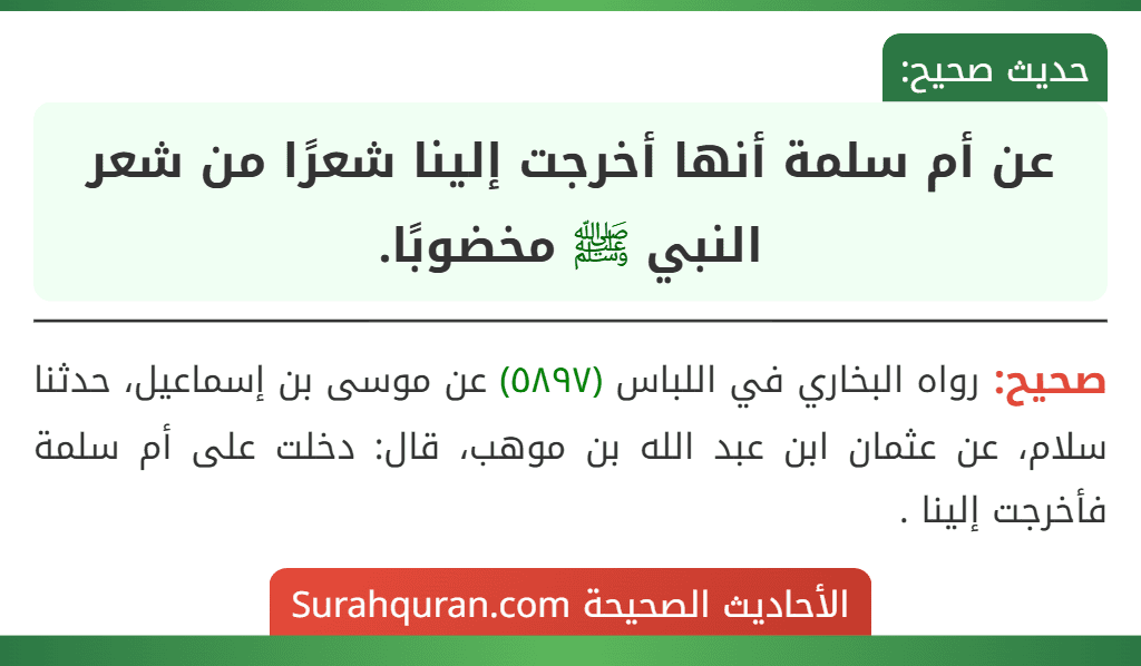 عن أم سلمة أنها أخرجت إلينا شعرًا من شعر النبي ﷺ مخضوبًا. عن أم سلمة أنها أخرجت إلينا شعرًا من شعر النبي ﷺ مخضوبًا.