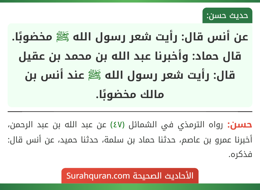 عن أنس قال: رأيت شعر رسول الله ﷺ مخضوبًا.
قال حماد: وأخبرنا عبد الله بن محمد بن عقيل قال: رأيت شعر رسول الله ﷺ عند أنس بن مالك مخضوبًا.