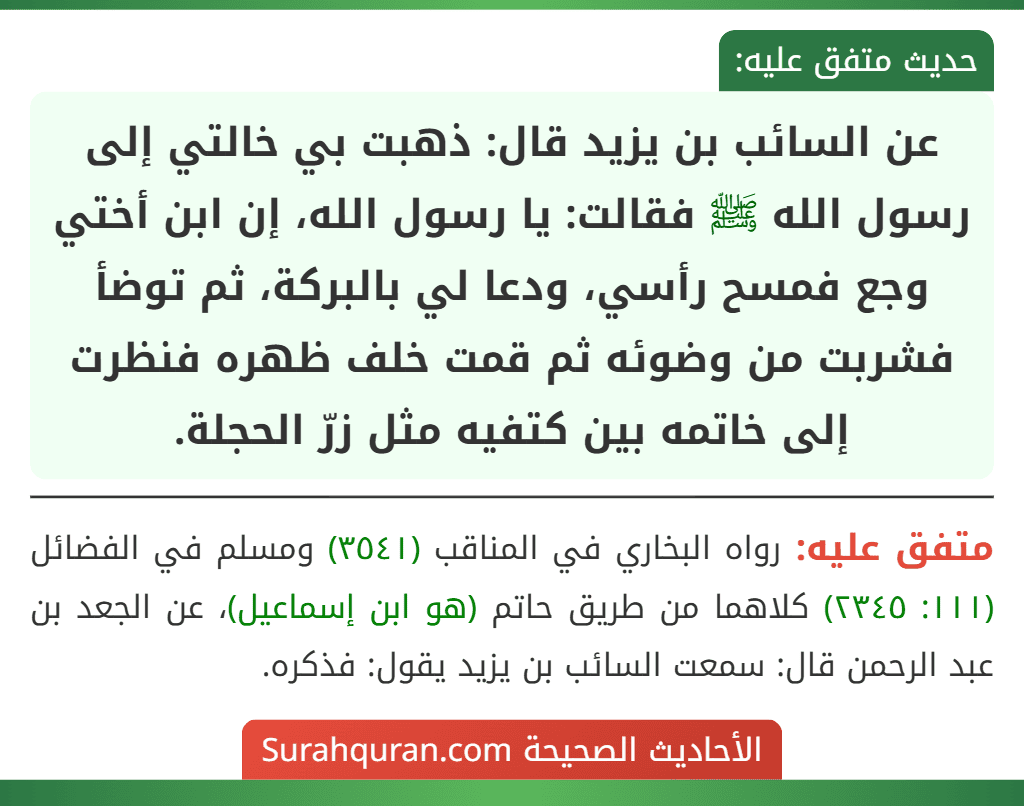 عن السائب بن يزيد قال: ذهبت بي خالتي إلى رسول الله ﷺ فقالت: يا رسول الله، إن ابن أختي وجع فمسح رأسي، ودعا لي بالبركة، ثم توضأ فشربت من وضوئه ثم قمت خلف ظهره فنظرت إلى خاتمه بين كتفيه مثل زرّ الحجلة. عن السائب بن يزيد قال: ذهبت بي خالتي إلى رسول الله ﷺ فقالت: يا رسول الله، إن ابن أختي وجع فمسح رأسي، ودعا لي بالبركة، ثم توضأ فشربت من وضوئه ثم قمت خلف ظهره فنظرت إلى خاتمه بين كتفيه مثل زرّ الحجلة.