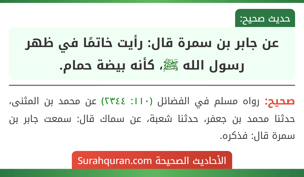 عن جابر بن سمرة قال: رأيت خاتمًا في ظهر رسول الله ﷺ، كأنه بيضة حمام. عن جابر بن سمرة قال: رأيت خاتمًا في ظهر رسول الله ﷺ، كأنه بيضة حمام.