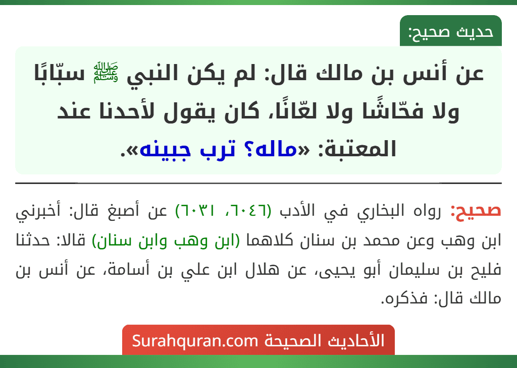 عن أنس بن مالك قال: لم يكن النبي ﷺ سبّابًا ولا فحّاشًا ولا لعّانًا، كان يقول لأحدنا عند المعتبة: «ماله؟ ترب جبينه». عن أنس بن مالك قال: لم يكن النبي ﷺ سبّابًا ولا فحّاشًا ولا لعّانًا، كان يقول لأحدنا عند المعتبة: «ماله؟ ترب جبينه».