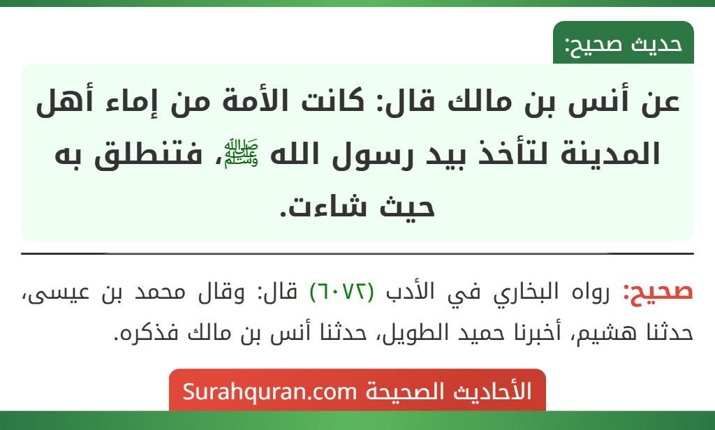 عن أنس بن مالك قال: كانت الأمة من إماء أهل المدينة لتأخذ بيد رسول الله ﷺ، فتنطلق به حيث شاءت. عن أنس بن مالك قال: كانت الأمة من إماء أهل المدينة لتأخذ بيد رسول الله ﷺ، فتنطلق به حيث شاءت.