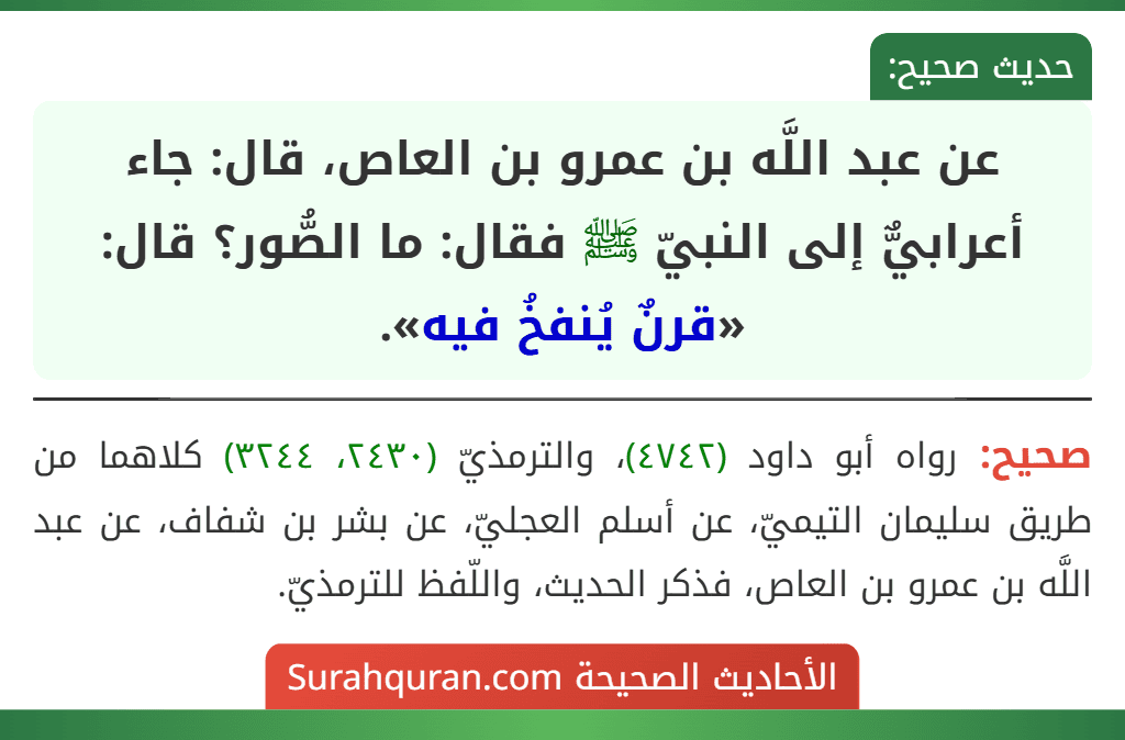 عن عبد اللَّه بن عمرو بن العاص، قال: جاء أعرابيٌّ إلى النبيّ ﷺ فقال: ما الصُّور؟ قال: «قرنٌ يُنفخُ فيه».