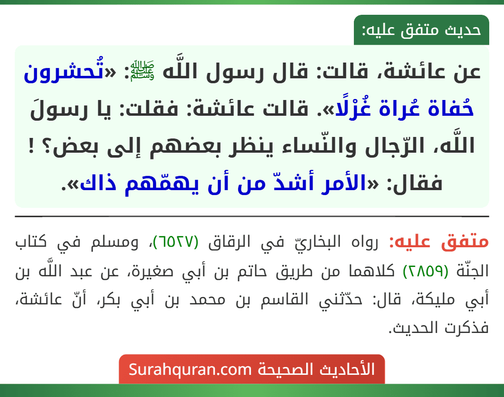عن عائشة، قالت: قال رسول اللَّه ﷺ: «تُحشرون حُفاة عُراة غُرْلًا». قالت عائشة: فقلت: يا رسولَ اللَّه، الرّجال والنّساء ينظر بعضهم إلى بعض؟ ! فقال: «الأمر أشدّ من أن يهمّهم ذاك». عن عائشة، قالت: قال رسول اللَّه ﷺ: «تُحشرون حُفاة عُراة غُرْلًا». قالت عائشة: فقلت: يا رسولَ اللَّه، الرّجال والنّساء ينظر بعضهم إلى بعض؟ ! فقال: «الأمر أشدّ من أن يهمّهم ذاك».