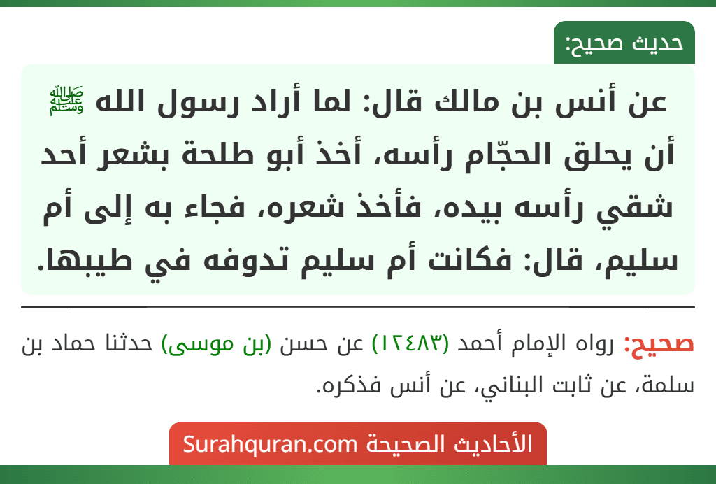 عن أنس بن مالك قال: لما أراد رسول الله ﷺ أن يحلق الحجّام رأسه، أخذ أبو طلحة بشعر أحد شقي رأسه بيده، فأخذ شعره، فجاء به إلى أم سليم، قال: فكانت أم سليم تدوفه في طيبها.