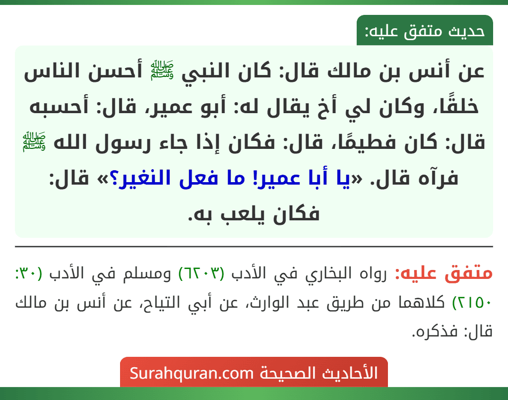 عن أنس بن مالك قال: كان النبي ﷺ أحسن الناس خلقًا، وكان لي أخ يقال له: أبو عمير، قال: أحسبه قال: كان فطيمًا، قال: فكان إذا جاء رسول الله ﷺ فرآه قال. «يا أبا عمير! ما فعل النغير؟» قال: فكان يلعب به. عن أنس بن مالك قال: كان النبي ﷺ أحسن الناس خلقًا، وكان لي أخ يقال له: أبو عمير، قال: أحسبه قال: كان فطيمًا، قال: فكان إذا جاء رسول الله ﷺ فرآه قال. «يا أبا عمير! ما فعل النغير؟» قال: فكان يلعب به.