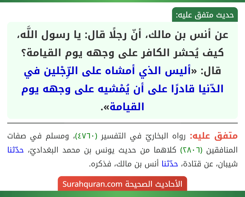 عن أنس بن مالك، أنّ رجلًا قال: يا رسول اللَّه، كيف يُحشر الكافر على وجهه يوم القيامة؟ قال: «أليس الذي أمشاه على الرِّجْلين في الدّنيا قادرًا على أن يُمْشيه على وجهه يوم القيامة». عن أنس بن مالك، أنّ رجلًا قال: يا رسول اللَّه، كيف يُحشر الكافر على وجهه يوم القيامة؟ قال: «أليس الذي أمشاه على الرِّجْلين في الدّنيا قادرًا على أن يُمْشيه على وجهه يوم القيامة».