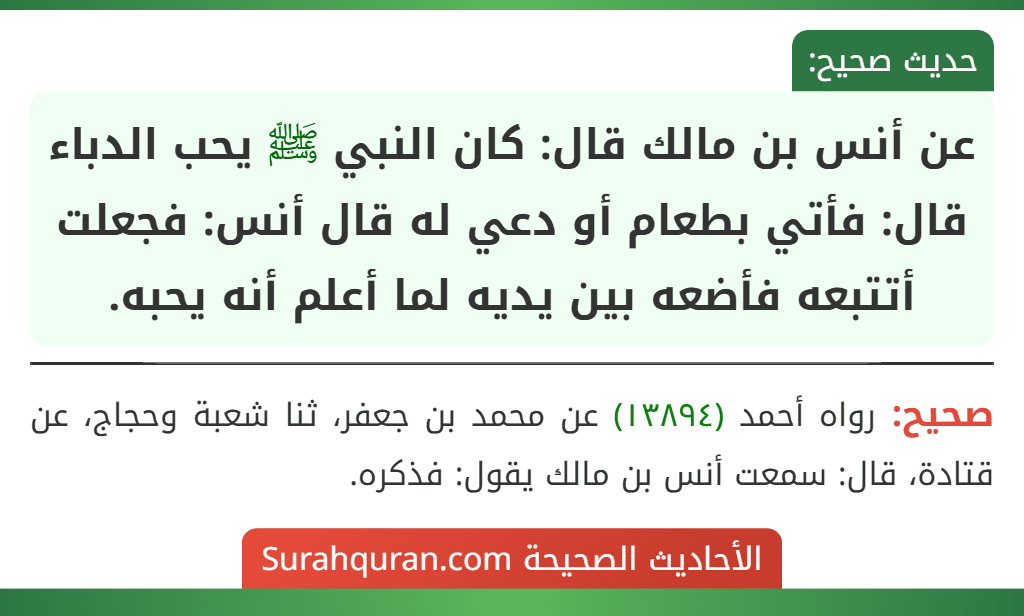 عن أنس بن مالك قال: كان النبي ﷺ يحب الدباء قال: فأتي بطعام أو دعي له قال أنس: فجعلت أتتبعه فأضعه بين يديه لما أعلم أنه يحبه. عن أنس بن مالك قال: كان النبي ﷺ يحب الدباء قال: فأتي بطعام أو دعي له قال أنس: فجعلت أتتبعه فأضعه بين يديه لما أعلم أنه يحبه.