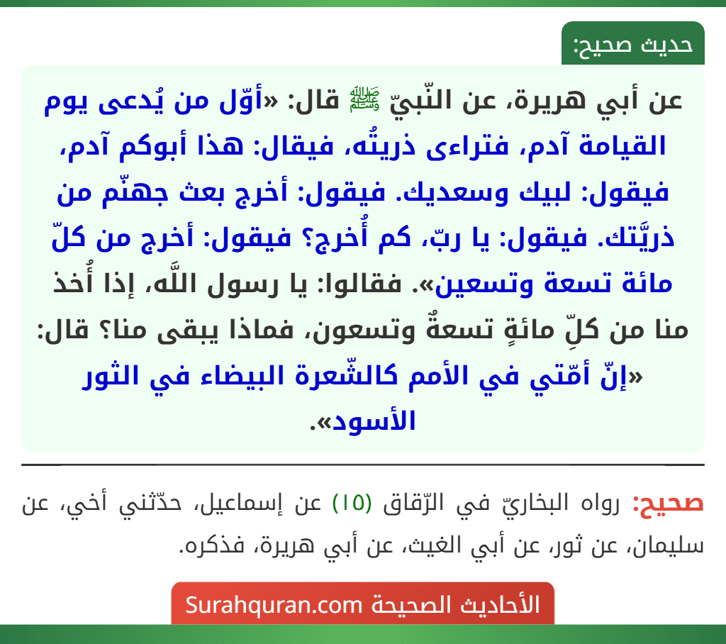 عن أبي هريرة، عن النّبيّ ﷺ قال: «أوّل من يُدعى يوم القيامة آدم، فتراءى ذريتُه، فيقال: هذا أبوكم آدم، فيقول: لبيك وسعديك. فيقول: أخرج بعث جهنّم من ذريَّتك. فيقول: يا ربّ، كم أُخرج؟ فيقول: أخرج من كلّ مائة تسعة وتسعين». فقالوا: يا رسول اللَّه، إذا أُخذ منا من كلِّ مائةٍ تسعةٌ وتسعون، فماذا يبقى منا؟ قال: «إنّ أمّتي في الأمم كالشّعرة البيضاء في الثور الأسود». عن أبي هريرة، عن النّبيّ ﷺ قال: «أوّل من يُدعى يوم القيامة آدم، فتراءى ذريتُه، فيقال: هذا أبوكم آدم، فيقول: لبيك وسعديك. فيقول: أخرج بعث جهنّم من ذريَّتك. فيقول: يا ربّ، كم أُخرج؟ فيقول: أخرج من كلّ مائة تسعة وتسعين». فقالوا: يا رسول اللَّه، إذا أُخذ منا من كلِّ مائةٍ تسعةٌ وتسعون، فماذا يبقى منا؟ قال: «إنّ أمّتي في الأمم كالشّعرة البيضاء في الثور الأسود».