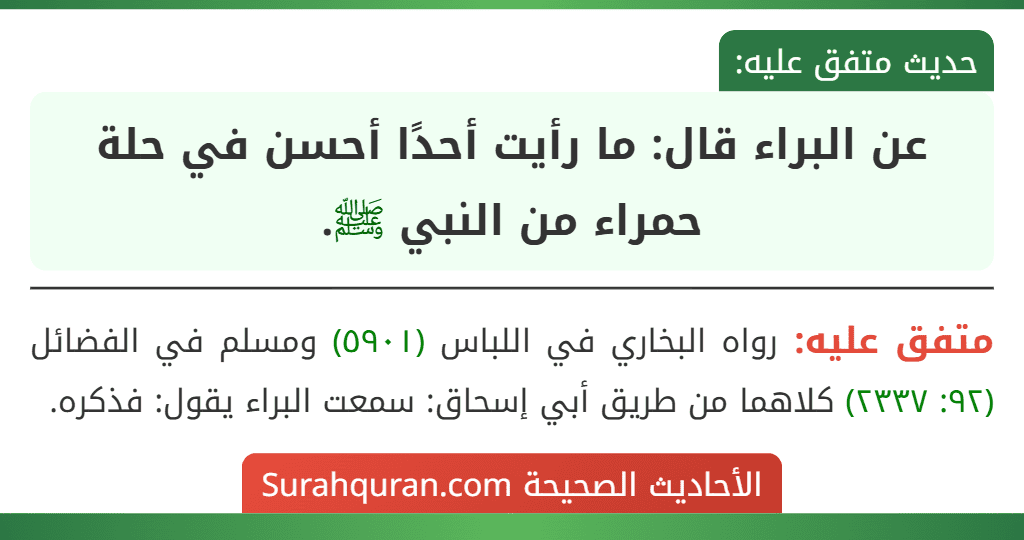 عن البراء قال: ما رأيت أحدًا أحسن في حلة حمراء من النبي ﷺ.