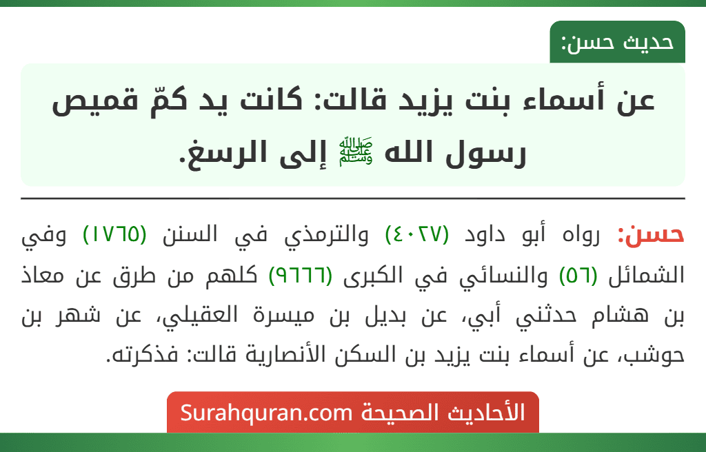 عن أسماء بنت يزيد قالت: كانت يد كمّ قميص رسول الله ﷺ إلى الرسغ.