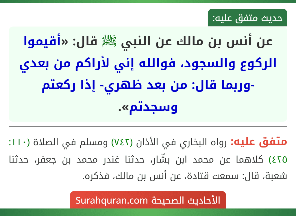 عن أنس بن مالك عن النبي ﷺ قال: «أقيموا الركوع والسجود، فوالله إني لأراكم من بعدي -وربما قال: من بعد ظهري- إذا ركعتم وسجدتم». عن أنس بن مالك عن النبي ﷺ قال: «أقيموا الركوع والسجود، فوالله إني لأراكم من بعدي -وربما قال: من بعد ظهري- إذا ركعتم وسجدتم».