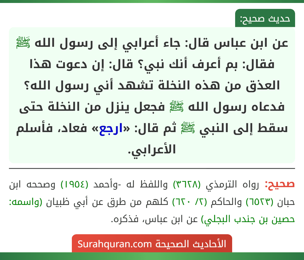 عن ابن عباس قال: جاء أعرابي إلى رسول الله ﷺ فقال: بم أعرف أنك نبي؟ قال: إن دعوت هذا العذق من هذه النخلة تشهد أني رسول الله؟ فدعاه رسول الله ﷺ فجعل ينزل من النخلة حتى سقط إلى النبي ﷺ ثم قال: «ارجع» فعاد، فأسلم الأعرابي. عن ابن عباس قال: جاء أعرابي إلى رسول الله ﷺ فقال: بم أعرف أنك نبي؟ قال: إن دعوت هذا العذق من هذه النخلة تشهد أني رسول الله؟ فدعاه رسول الله ﷺ فجعل ينزل من النخلة حتى سقط إلى النبي ﷺ ثم قال: «ارجع» فعاد، فأسلم الأعرابي.