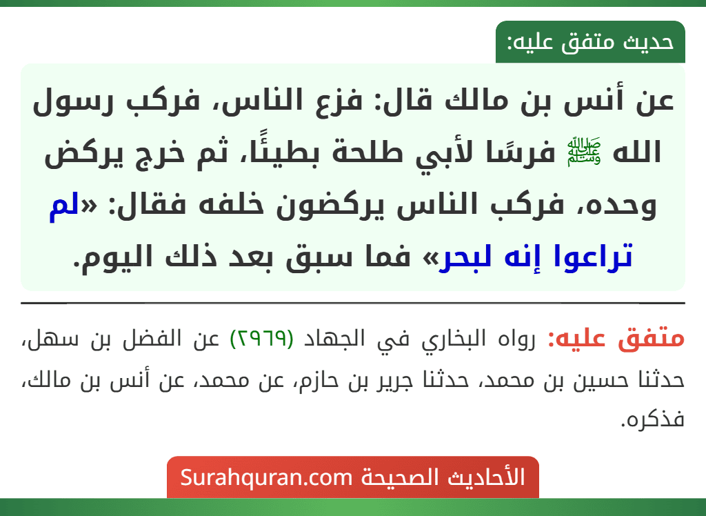 عن أنس بن مالك قال: فزع الناس، فركب رسول الله ﷺ فرسًا لأبي طلحة بطيئًا، ثم خرج يركض وحده، فركب الناس يركضون خلفه فقال: «لم تراعوا إنه لبحر» فما سبق بعد ذلك اليوم. عن أنس بن مالك قال: فزع الناس، فركب رسول الله ﷺ فرسًا لأبي طلحة بطيئًا، ثم خرج يركض وحده، فركب الناس يركضون خلفه فقال: «لم تراعوا إنه لبحر» فما سبق بعد ذلك اليوم.