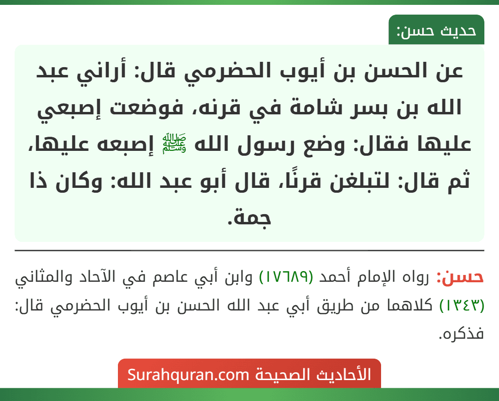 عن الحسن بن أيوب الحضرمي قال: أراني عبد الله بن بسر شامة في قرنه، فوضعت إصبعي عليها فقال: وضع رسول الله ﷺ إصبعه عليها، ثم قال: لتبلغن قرنًا، قال أبو عبد الله: وكان ذا جمة.