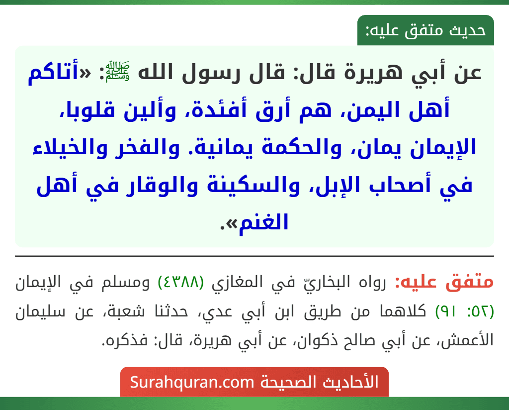 عن أبي هريرة قال: قال رسول الله ﷺ: «أتاكم أهل اليمن، هم أرق أفئدة، وألين قلوبا، الإيمان يمان، والحكمة يمانية. والفخر والخيلاء في أصحاب الإبل، والسكينة والوقار في أهل الغنم».