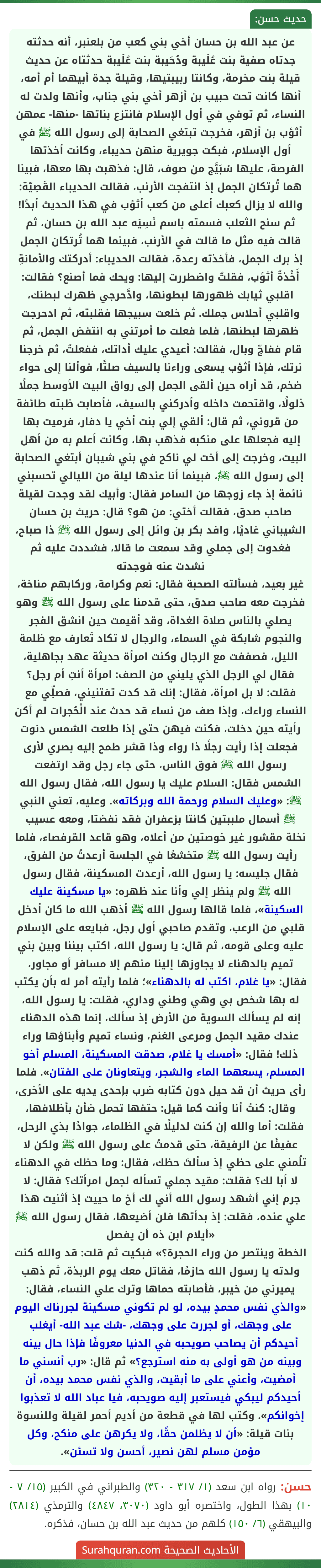 عن عبد الله بن حسان أخي بني كعب من بلعنبر، أنه حدثته جدتاه صفية بنت عُلَيبة ودُحَيبة بنت عُلَيبة حدثتاه عن حديث قيلة بنت مخرمة، وكانتا ربيبتيها، وقيلة جدة أبيهما أم أمه، أنها كانت تحت حبيب بن أزهر أخي بني جناب، وأنها ولدت له النساء، ثم توفي في أول الإسلام فانتزع بناتها -منها- عمهن أثؤب بن أزهر، فخرجت تبتغي الصحابة إلى رسول الله ﷺ في أول الإسلام، فبكت جويرية منهن حديباء، وكانت أخذتها الفرصة، عليها سُبَيَّج من صوف، قال: فذهبت بها معها، فبينا هما تُرتكان الجمل إذ انتفجت الأرنب، فقالت الحديباء القَصِيّة: والله لا يزال كعبك أعلى من كعب أثؤب في هذا الحديث أبدًا! ثم سنح الثعلب فسمته باسم نَسِيَه عبد الله بن حسان، ثم قالت فيه مثل ما قالت في الأرنب، فبينما هما تُرتكان الجمل إذ برك الجمل، فأخذته رعدة، فقالت الحديباء: أدركتك والأمانةِ أَخْذةُ أثؤب، فقلتُ واضطررت إليها: ويحك فما أصنع؟ فقالت: اقلبي ثيابك ظهورها لبطونها، وادَّحرجي ظهرك لبطنك، واقلبي أحلاس جملك. ثم خلعت سبيجها فقلبته، ثم ادحرجت ظهرها لبطنها، فلما فعلت ما أمرتني به انتفض الجمل، ثم قام ففاجّ وبال، فقالت: أعيدي عليك أداتك، ففعلتُ، ثم خرجنا نرتك، فإذا أثؤب يسعى وراءنا بالسيف صلتًا، فوألنا إلى حواء ضخم، قد أراه حين ألقى الجمل إلى رواق البيت الأوسط جملًا ذلولًا، واقتحمت داخله وأدركني بالسيف، فأصابت ظبته طائفة من قروني، ثم قال: ألقي إلي بنت أخي يا دفار، فرميت بها إليه فجعلها على منكبه فذهب بها، وكانت أعلم به من أهل البيت، وخرجت إلى أخت لي ناكح في بني شيبان أبتغي الصحابة إلى رسول الله ﷺ، فبينما أنا عندها ليلة من الليالي تحسبني نائمة إذ جاء زوجها من السامر فقال: وأبيك لقد وجدت لقيلة صاحب صدق، فقالت أختي: من هو؟ قال: حريث بن حسان الشيباني غاديًا، وافد بكر بن وائل إلى رسول الله ﷺ ذا صباح، فغدوت إلى جملي وقد سمعت ما قالا، فشددت عليه ثم نشدت عنه فوجدته
غير بعيد، فسألته الصحبة فقال: نعم وكرامة، وركابهم مناخة، فخرجت معه صاحب صدق، حتى قدمنا على رسول الله ﷺ وهو يصلي بالناس صلاة الغداة، وقد أقيمت حين انشق الفجر والنجوم شابكة في السماء، والرجال لا تكاد تَعارف مع ظلمة الليل، فصففت مع الرجال وكنت امرأة حديثة عهد بجاهلية، فقال لي الرجل الذي يليني من الصف: امرأة أنتِ أم رجل؟ فقلت: لا بل امرأة، فقال: إنك قد كدت تفتنيني، فصلِّي مع النساء وراءك، وإذا صف من نساء قد حدث عند الْحُجرات لم أكن رأيته حين دخلت، فكنت فيهن حتى إذا طلعت الشمس دنوت فجعلت إذا رأيت رجلًا ذا رواء وذا قشر طمح إليه بصري لأرى رسول الله ﷺ فوق الناس، حتى جاء رجل وقد ارتفعت الشمس فقال: السلام عليك يا رسول الله، فقال رسول الله ﷺ: «وعليك السلام ورحمة الله وبركاته». وعليه، تعني النبي ﷺ أسمال ملببتين كانتا بزعفران فقد نفضتا، ومعه عسيب نخلة مقشور غير خوصتين من أعلاه، وهو قاعد القرفصاء، فلما رأيت رسول الله ﷺ متخشعًا في الجلسة أرعدتُ من الفرق، فقال جليسه: يا رسول الله، أرعدت المسكينة، فقال رسول الله ﷺ ولم ينظر إلي وأنا عند ظهره: «يا مسكينة عليك السكينة»، فلما قالها رسول الله ﷺ أذهب الله ما كان أدخل قلبي من الرعب، وتقدم صاحبي أول رجل، فبايعه على الإسلام عليه وعلى قومه، ثم قال: يا رسول الله، اكتب بيننا وبين بني تميم بالدهناء لا يجاوزها إلينا منهم إلا مسافر أو مجاور، فقال: «يا غلام، اكتب له بالدهناء»؛ فلما رأيته أمر له بأن يكتب له بها شخص بي وهي وطني وداري، فقلت: يا رسول الله، إنه لم يسألك السوية من الأرض إذ سألك، إنما هذه الدهناء عندك مقيد الجمل ومرعى الغنم، ونساء تميم وأبناؤها وراء ذلك! فقال: «أمسك يا غلام، صدقت المسكينة، المسلم أخو المسلم، يسعهما الماء والشجر، ويتعاونان على الفتان». فلما رأى حريث أن قد حيل دون كتابه ضرب بإحدى يديه على الأخرى، وقال: كنتُ أنا وأنت كما قيل: حتفها تحمل ضأن بأظلافها، فقلت: أما والله إن كنت لدليلًا في الظلماء، جوادًا بذي الرحل، عفيفًا عن الرفيقة، حتى قدمتُ على رسول الله ﷺ ولكن لا تلُمني على حظي إذ سألتَ حظك، فقال: وما حظك في الدهناء لا أبا لك؟ فقلت: مقيد جملي تسأله لجمل امرأتك؟ فقال: لا جرم إني أشهد رسول الله أني لك أخ ما حييت إذ أثنيت هذا علي عنده، فقلت: إذ بدأتها فلن أضيعها، فقال رسول الله ﷺ «أيلام ابن ذه أن يفصل
الخطة وينتصر من وراء الحجرة؟» فبكيت ثم قلت: قد والله كنت ولدته يا رسول الله حازمًا، فقاتل معك يوم الربذة، ثم ذهب يميرني من خيبر، فأصابته حماها وترك علي النساء، فقال: «والذي نفس محمدٍ بيده، لو لم تكوني مسكينة لجررناك اليوم على وجهك، أو لجررت على وجهك، -شك عبد الله- أيغلب أحيدكم أن يصاحب صويحبه في الدنيا معروفًا فإذا حال بينه وبينه من هو أولى به منه استرجع؟» ثم قال: «رب أنسني ما أمضيت، وأعني على ما أبقيت، والذي نفس محمد بيده، أن أحيدكم ليبكي فيستعبر إليه صويحبه، فيا عباد الله لا تعذبوا إخوانكم». وكتب لها في قطعة من أديم أحمر لقيلة وللنسوة بنات قيلة: «أن لا يظلمن حقًا، ولا يكرهن على منكح، وكل مؤمن مسلم لهن نصير، أحسن ولا تسئن».