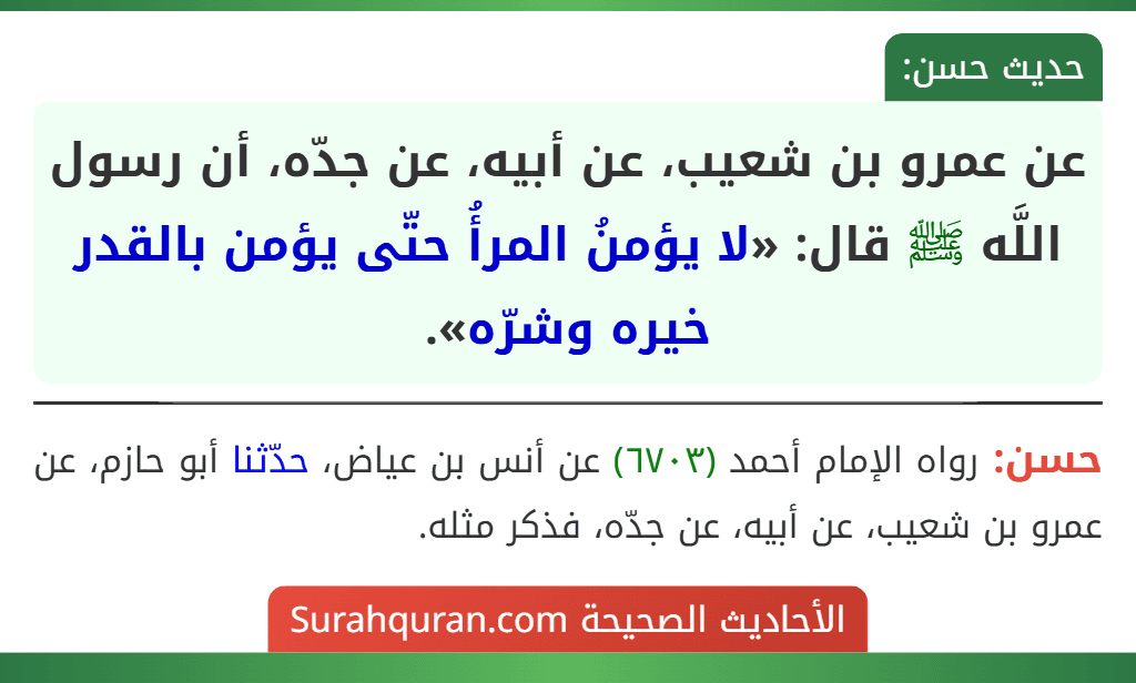 عن عمرو بن شعيب، عن أبيه، عن جدّه، أن رسول اللَّه ﷺ قال: «لا يؤمنُ المرأُ حتّى يؤمن بالقدر خيره وشرّه».