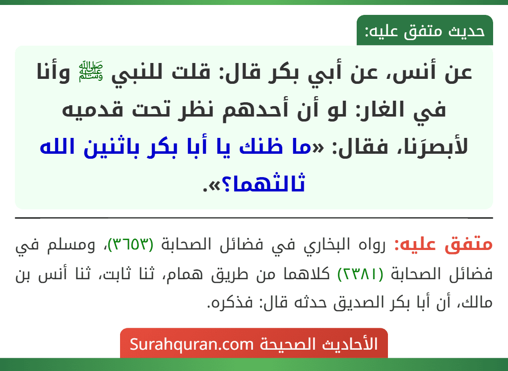 عن أنس، عن أبي بكر قال: قلت للنبي ﷺ وأنا في الغار: لو أن أحدهم نظر تحت قدميه لأبصرَنا، فقال: «ما ظنك يا أبا بكر باثنين الله ثالثهما؟».