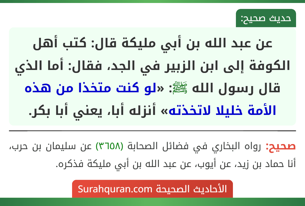 عن عبد الله بن أبي مليكة قال: كتب أهل الكوفة إلى ابن الزبير في الجد، فقال: أما الذي قال رسول الله ﷺ: «لو كنت متخذا من هذه الأمة خليلا لاتخذته» أنزله أبا، يعني أبا بكر.