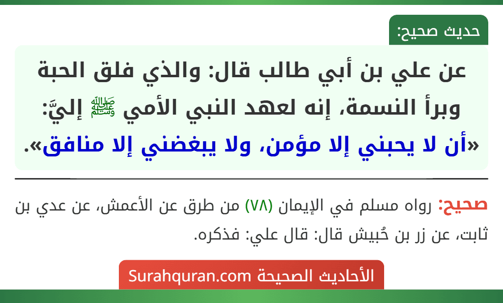 عن علي بن أبي طالب قال: والذي فلق الحبة وبرأ النسمة، إنه لعهد النبي الأمي ﷺ إليَّ: «أن لا يحبني إلا مؤمن، ولا يبغضني إلا منافق».