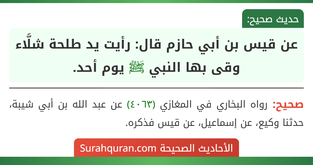 عن قيس بن أبي حازم قال: رأيت يد طلحة شلَّاء وقى بها النبي ﷺ يوم أحد.