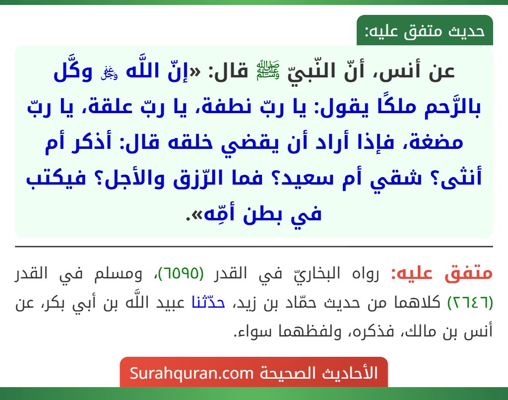 عن أنس، أنّ النّبيّ ﷺ قال: «إنّ اللَّه ﷿ وكَّل بالرَّحم ملكًا يقول: يا ربّ نطفة، يا ربّ علقة، يا ربّ مضغة، فإذا أراد أن يقضي خلقه قال: أذكر أم أنثى؟ شقي أم سعيد؟ فما الرّزق والأجل؟ فيكتب في بطن أمِّه».