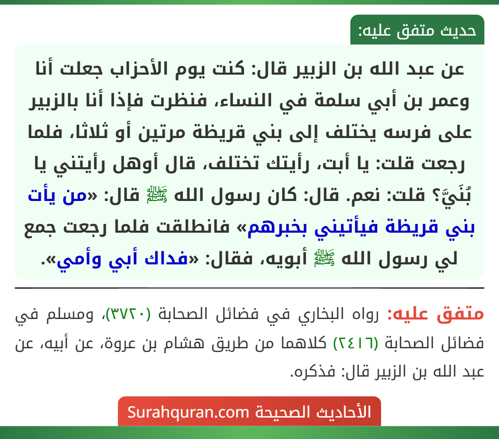 عن عبد الله بن الزبير قال: كنت يوم الأحزاب جعلت أنا وعمر بن أبي سلمة في النساء، فنظرت فإذا أنا بالزبير على فرسه يختلف إلى بني قريظة مرتين أو ثلاثا، فلما رجعت قلت: يا أبت، رأيتك تختلف، قال أوهل رأيتني يا بُنَيَّ؟ قلت: نعم. قال: كان رسول الله ﷺ قال: «من يأت بني قريظة فيأتيني بخبرهم» فانطلقت فلما رجعت جمع لي رسول الله ﷺ أبويه، فقال: «فداك أبي وأمي».