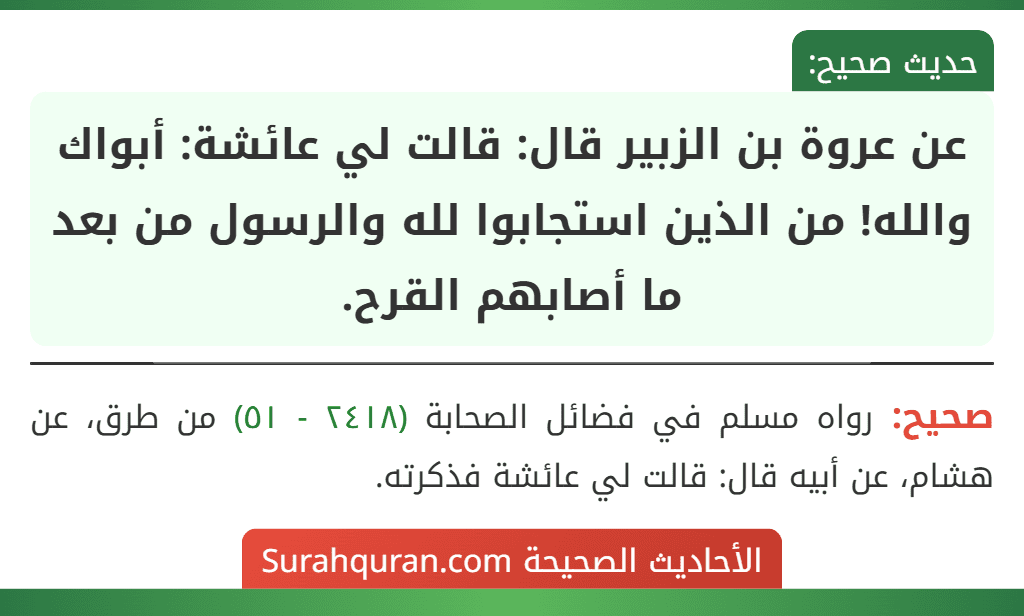 عن عروة بن الزبير قال: قالت لي عائشة: أبواك والله! من الذين استجابوا لله والرسول من بعد ما أصابهم القرح.