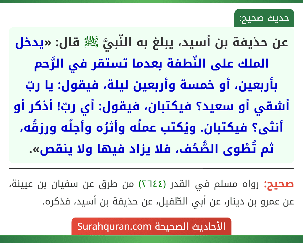 عن حذيفة بن أسيد، يبلغ به النّبيَّ ﷺ قال: «يدخل الملك على النّطفة بعدما تستقر في الرَّحم بأربعين، أو خمسة وأربعين ليلة، فيقول: يا ربّ أشقي أو سعيد؟ فيكتبان، فيقول: أي ربّ! أذكر أو أنثى؟ فيكتبان. ويُكتب عملُه وأثرُه وأجلُه ورزقُه، ثم تُطْوى الصُّحُف، فلا يزاد فيها ولا ينقص».