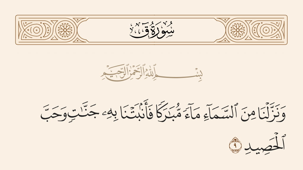 surah ق ayah 9 - And We have sent down blessed rain from the sky and made grow thereby gardens and grain from the harvest