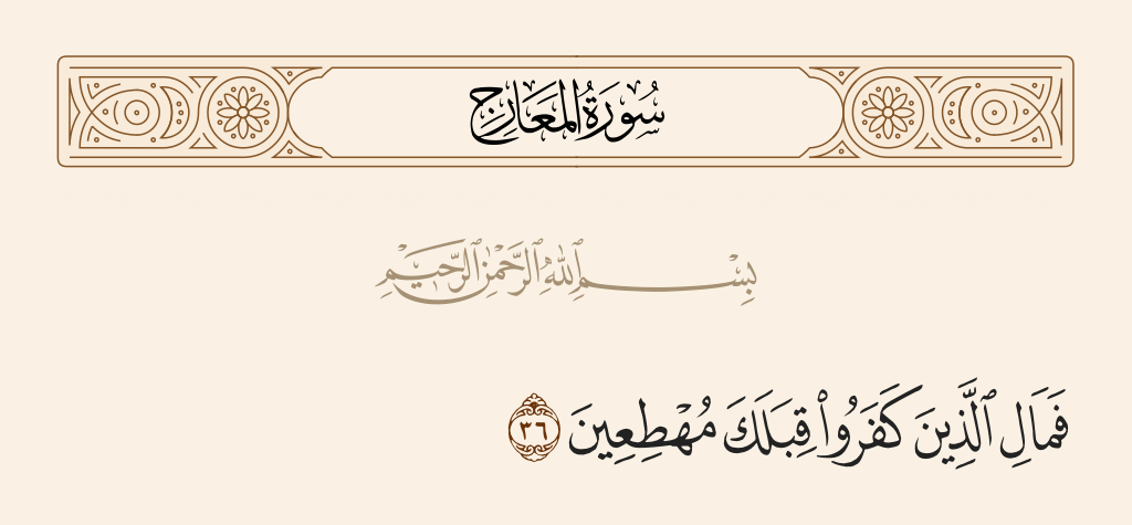 surah المعارج ayah 36 - So what is [the matter] with those who disbelieve, hastening [from] before you, [O Muhammad],