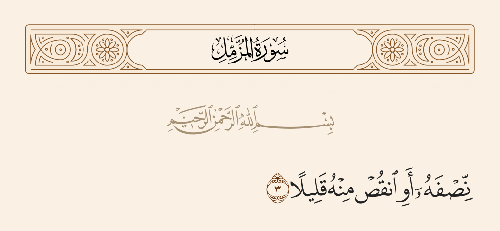surah المزّمِّل ayah 3 - Half of it - or subtract from it a little