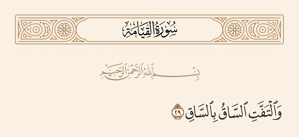 surah القيامة ayah 29 - And the leg is wound about the leg,