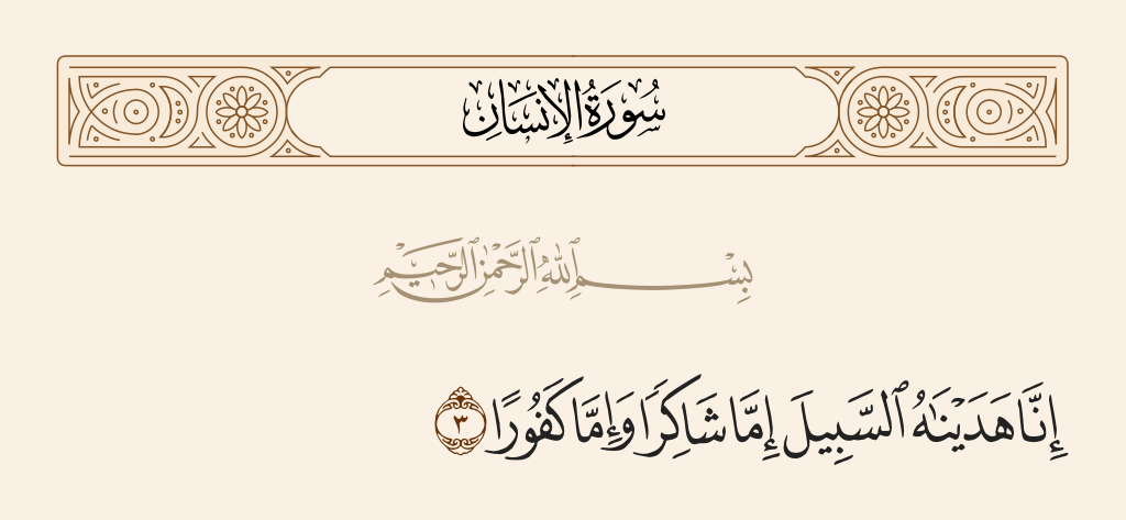 surah الإنسان ayah 3 - Indeed, We guided him to the way, be he grateful or be he ungrateful.