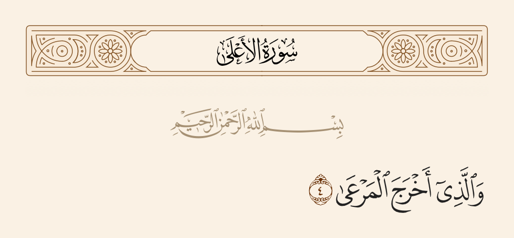 surah الأعلى ayah 4 - And who brings out the pasture