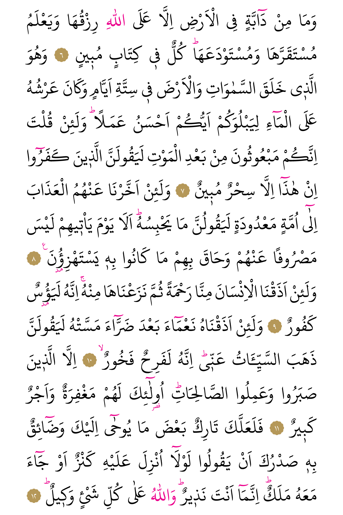 Kur'an'ın 221. cüzü