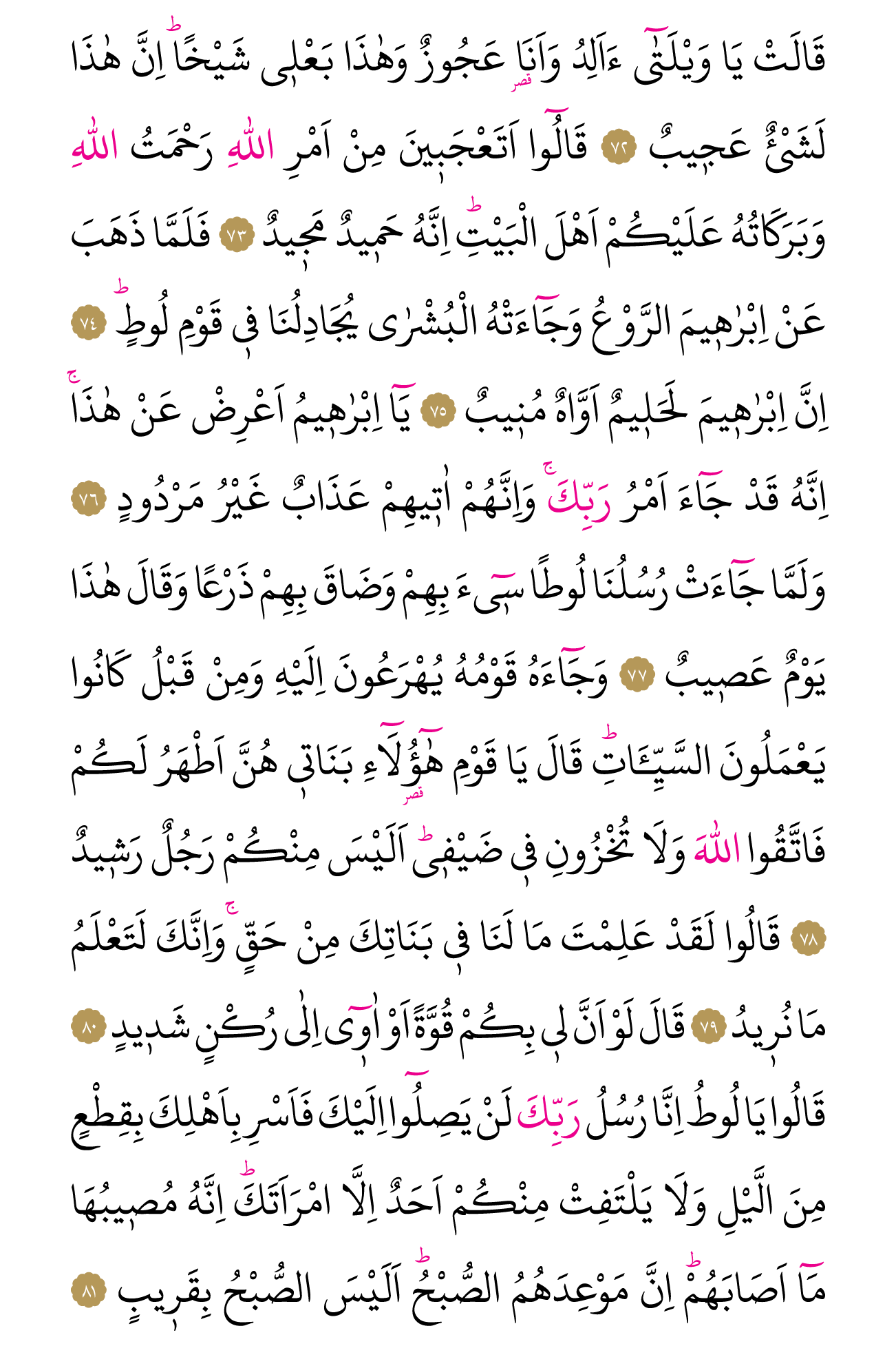 Kur'an'ın 229. cüzü