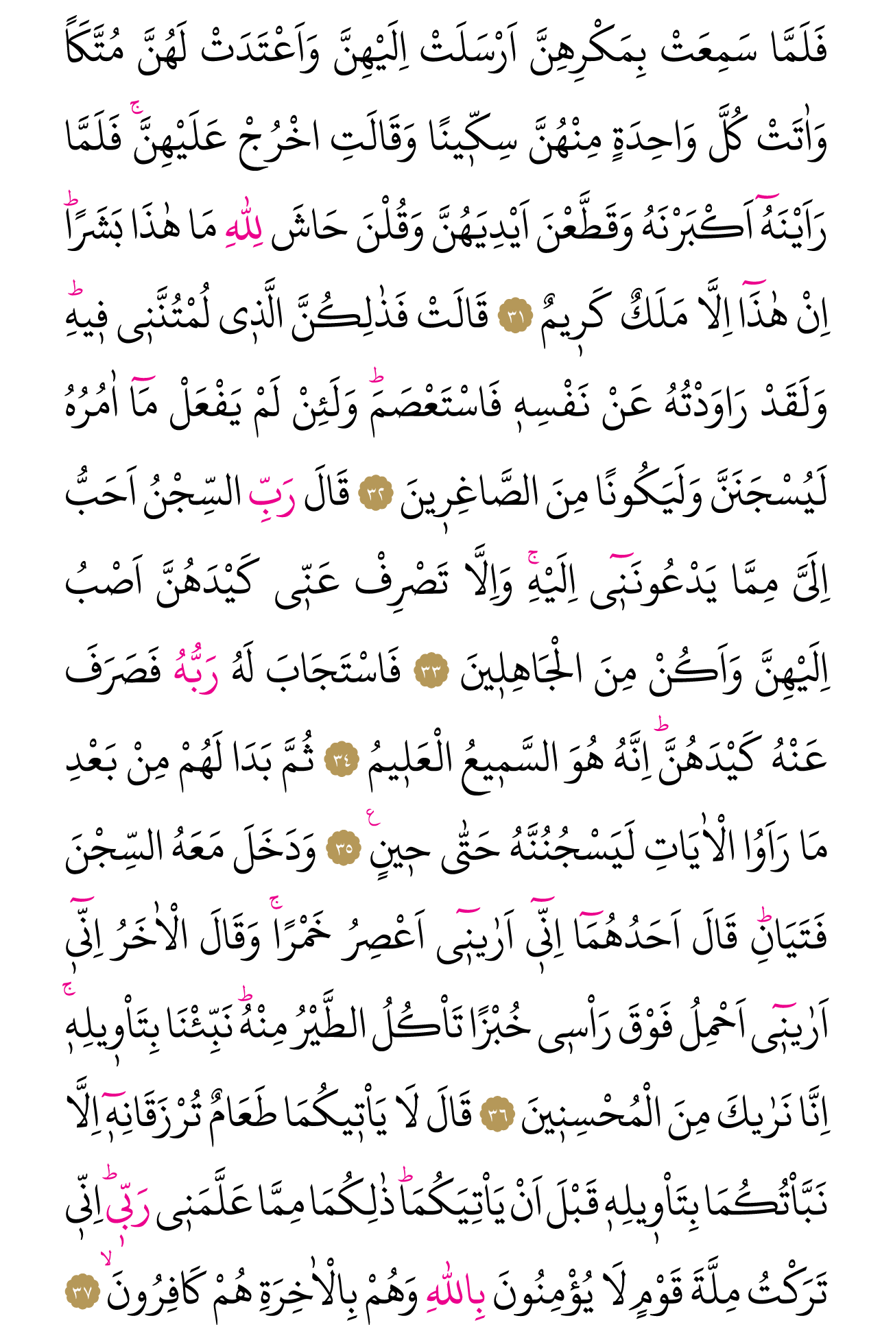 Kur'an'ın 238. cüzü