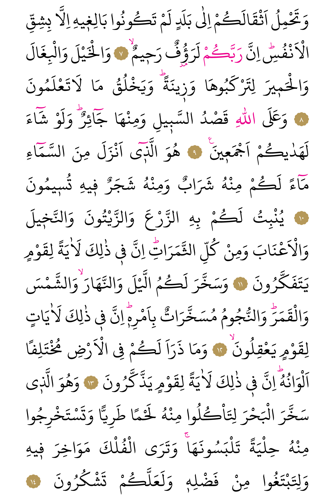 Kur'an'ın 267. cüzü