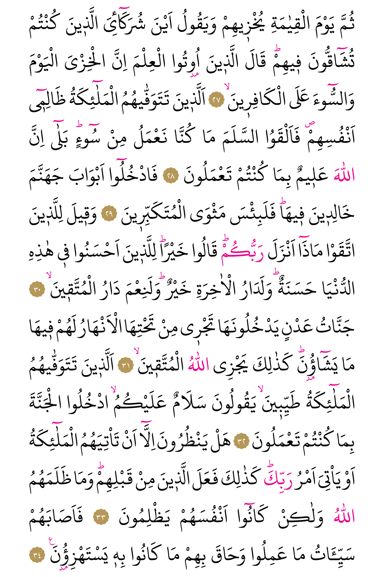Kur'an'ın 269. cüzü