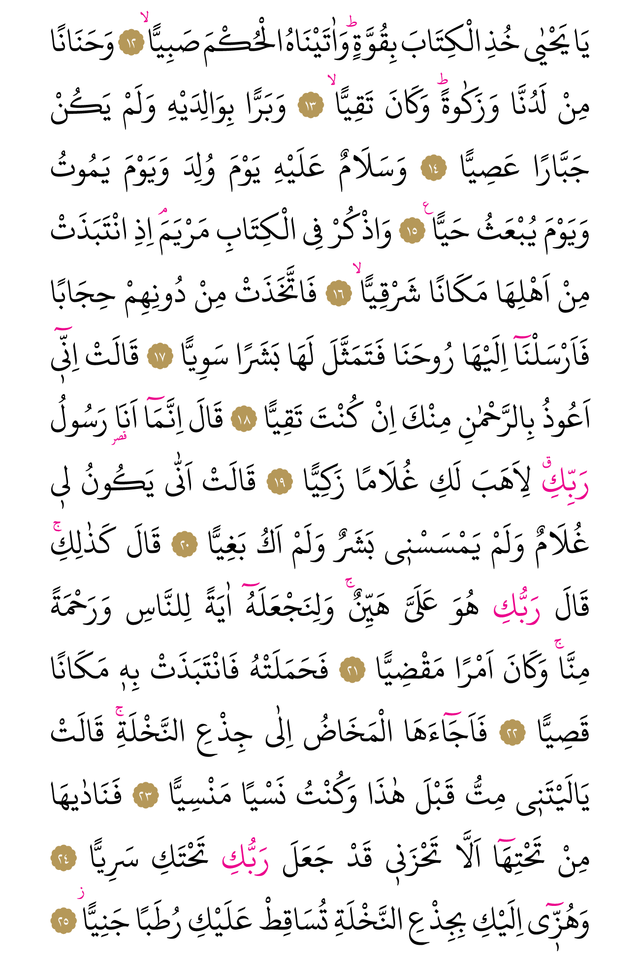 Kur'an'ın 305. cüzü