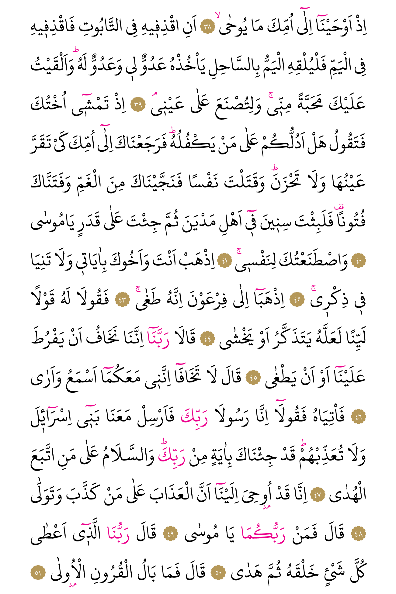 Kur'an'ın 313. cüzü