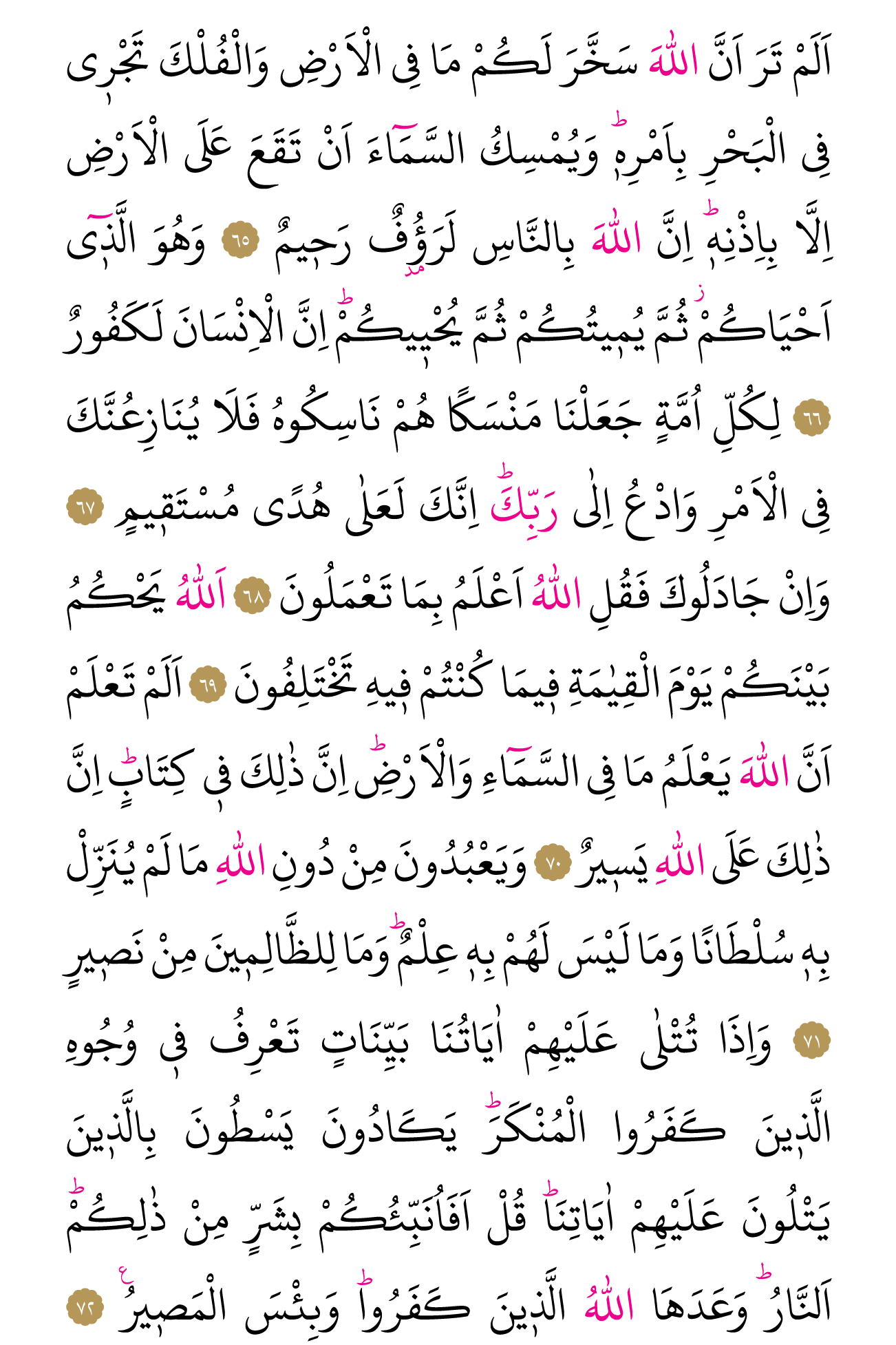Kur'an'ın 339. cüzü
