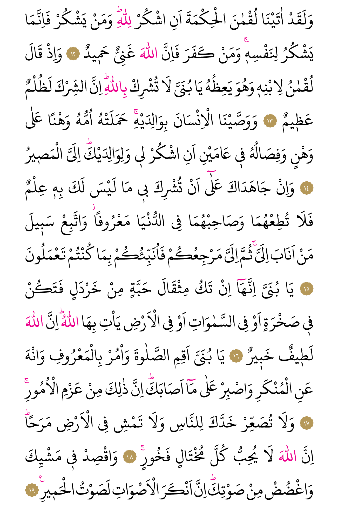 Kur'an'ın 411. cüzü